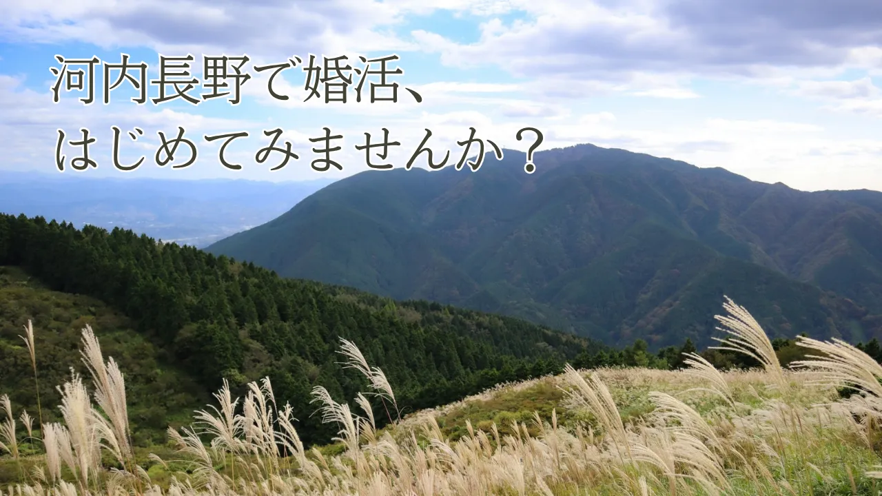 大阪･河内長野で婚活するなら｜結サロンなごみの面談場所をご紹介